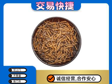 通辽礼品回收虫草.jpg